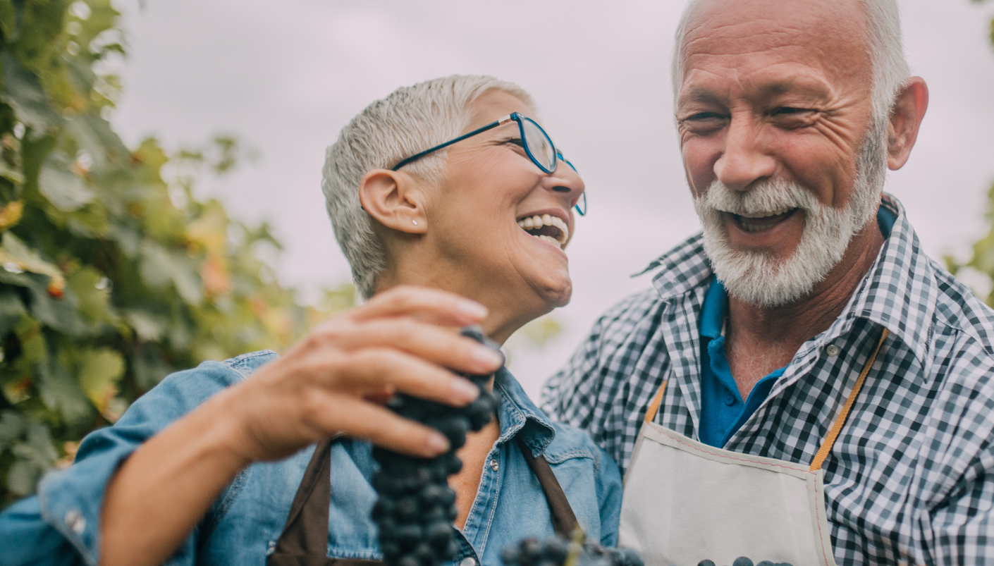 Caucasian couple laughing over a basket of fresh picked grapes